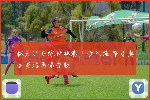 林丹羽毛球世锦赛止步八强 争夺奥运资格再添变数
