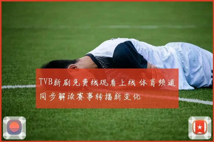TVB新剧免费线观看上线 体育频道同步解读赛事转播新变化