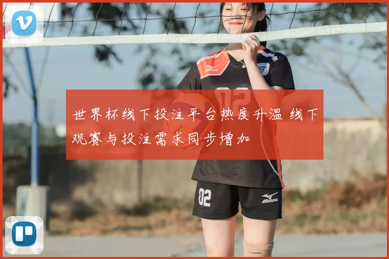 世界杯线下投注平台热度升温 线下观赛与投注需求同步增加