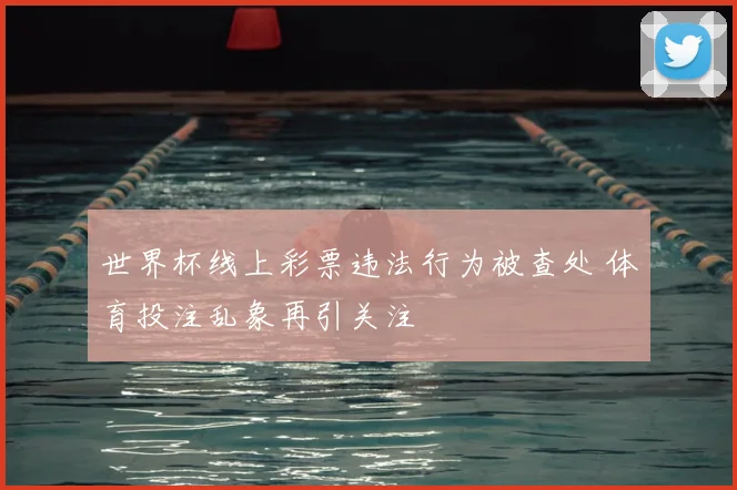 世界杯线上彩票违法行为被查处 体育投注乱象再引关注