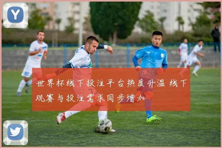 世界杯线下投注平台热度升温 线下观赛与投注需求同步增加