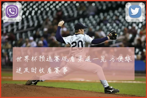 世界杯预选赛观看渠道一览 方便球迷及时收看赛事