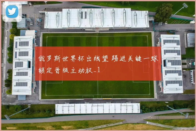 俄罗斯世界杯出线望 踢进关键一球锁定晋级主动权_1
