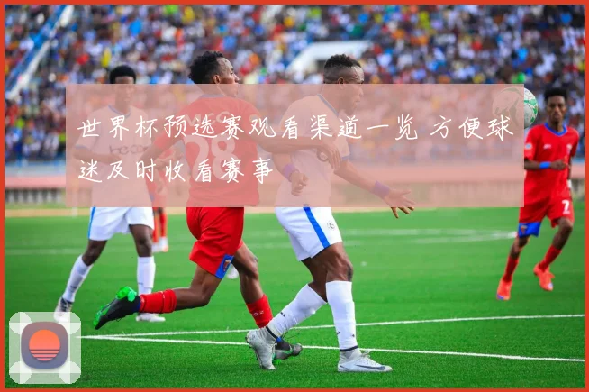 世界杯预选赛观看渠道一览 方便球迷及时收看赛事