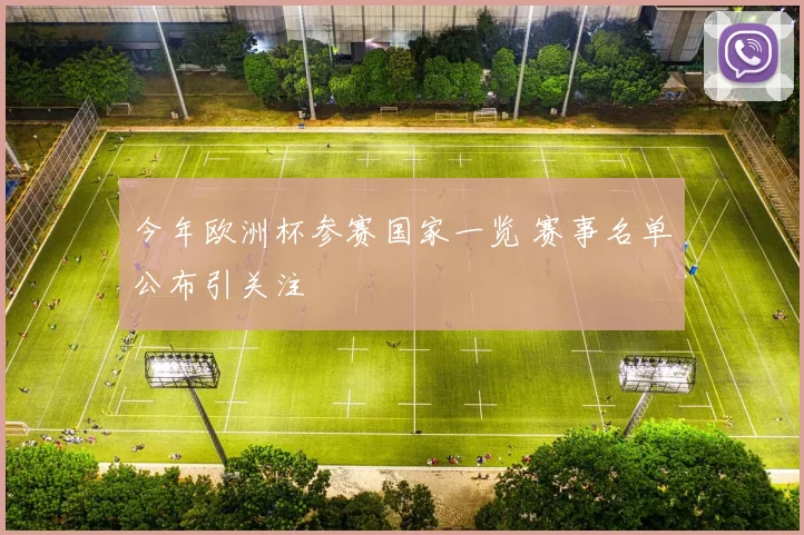 今年欧洲杯参赛国家一览 赛事名单公布引关注